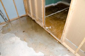 Water damaged basement