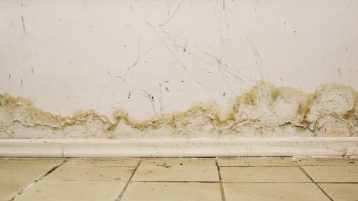 water marks and mold on wall in the interior of house