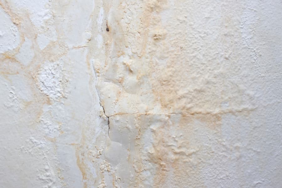 Paint bubbling and peeling on a water-damaged basement wall