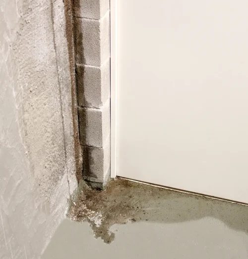 PREMIER WALL ANCHOR & WATERPROOFING